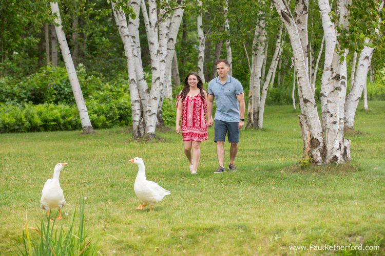 proposal castle farms northern michigan photo