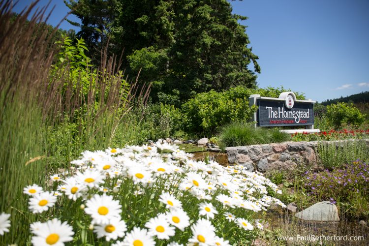 The Homestead Glen Arbor Wedding Lake Michigan Photography