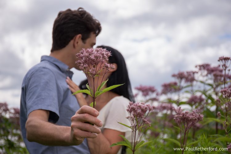 wildflower engagement photo