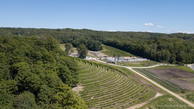 pond hill farm aerial photo
