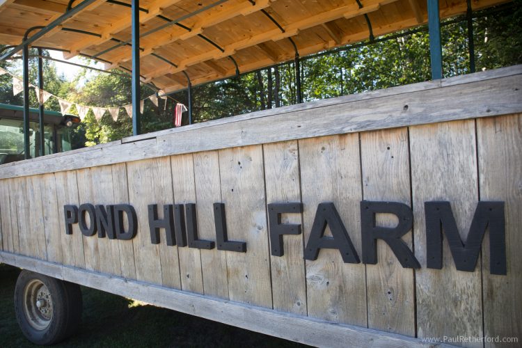 pond hill farm wedding transportation photo