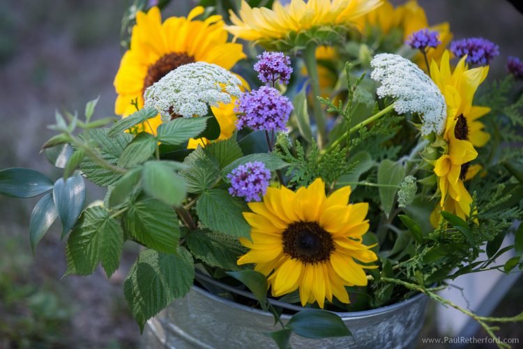 harbor springs wedding photo