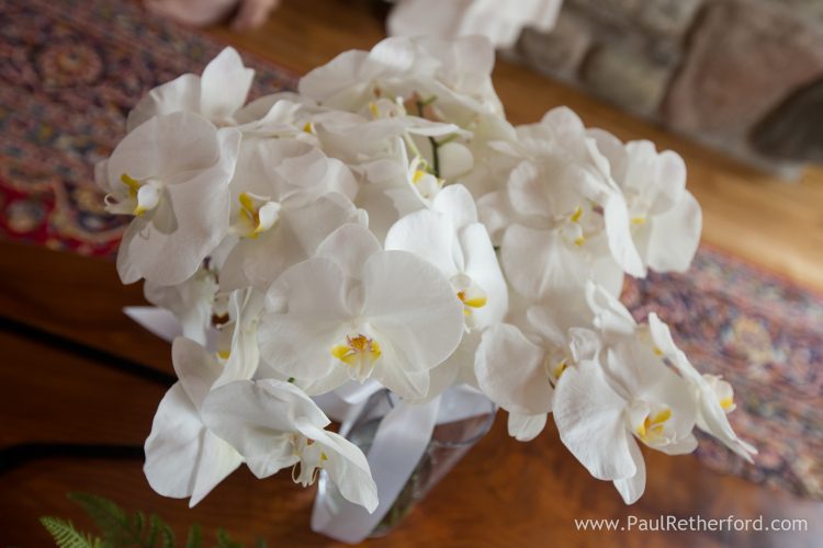 orchid flower bouquet monarch garden and floral photo
