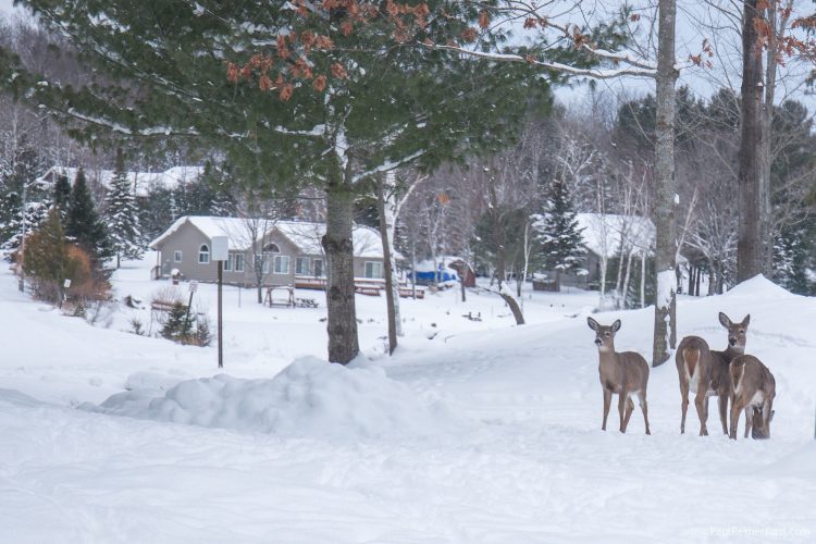 paul retherford photography northern michigan