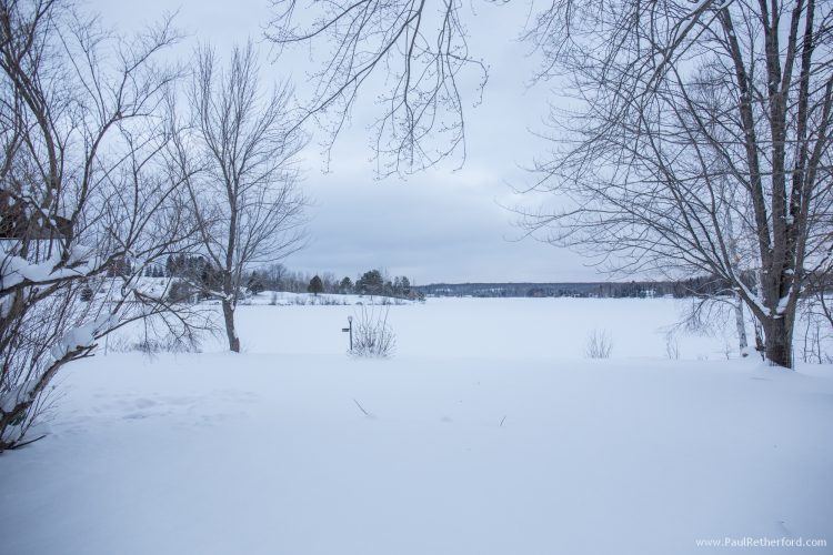 wildwood lake winter photo