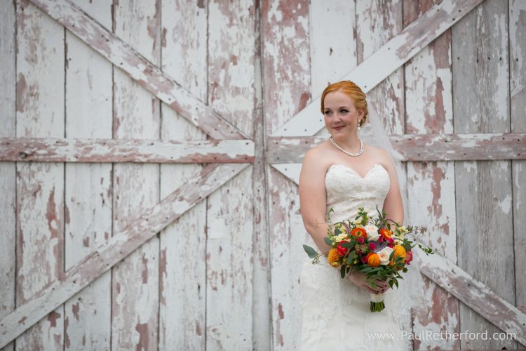 gorgeous bride michigan rustic wedding photo