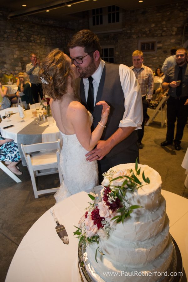 kingsley cake castle farms wedding photo