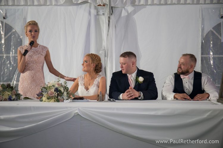 stoney creek metropark wedding photographer