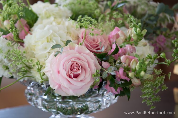 monarch floral petoskey photo