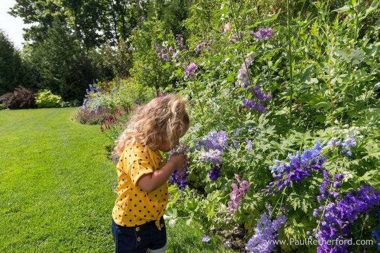 smell the flowers grand hotel photo